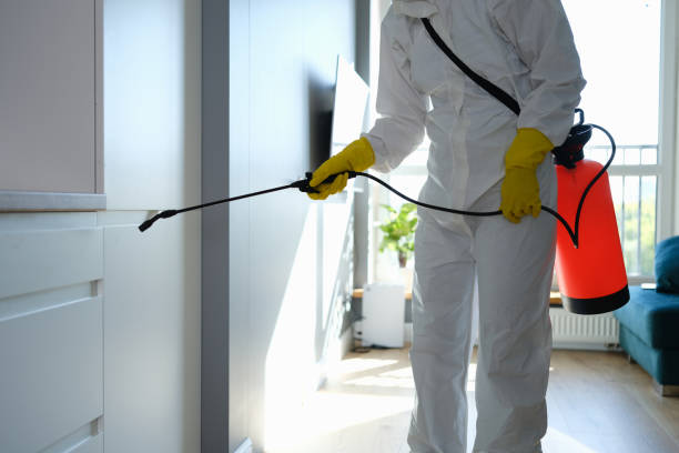 Professional Mold Prevention & Removal  in Gordon, PA